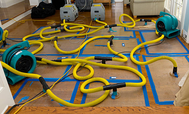 Professional Burst Pipe Water Damage technician working in Lakeview, MI
